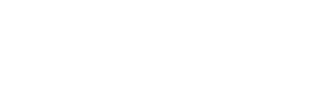 DroneAnatomy